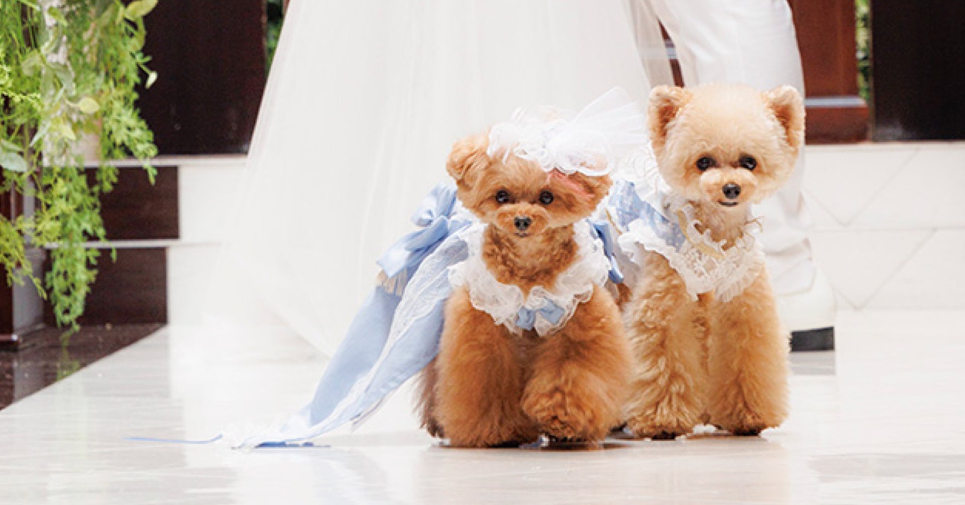 ウェアのご試着でイメージを掴んで