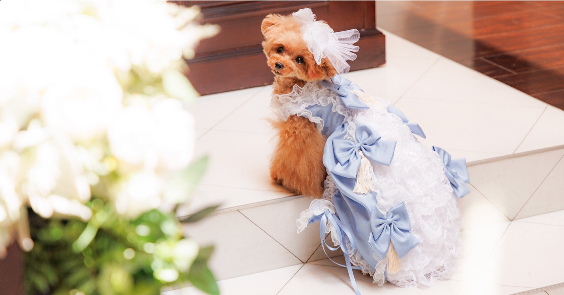 セルフ撮影会も