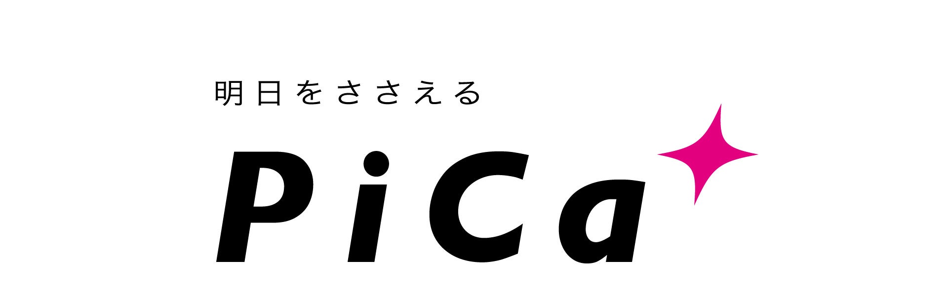 株式会社 ピカ コーポレイション