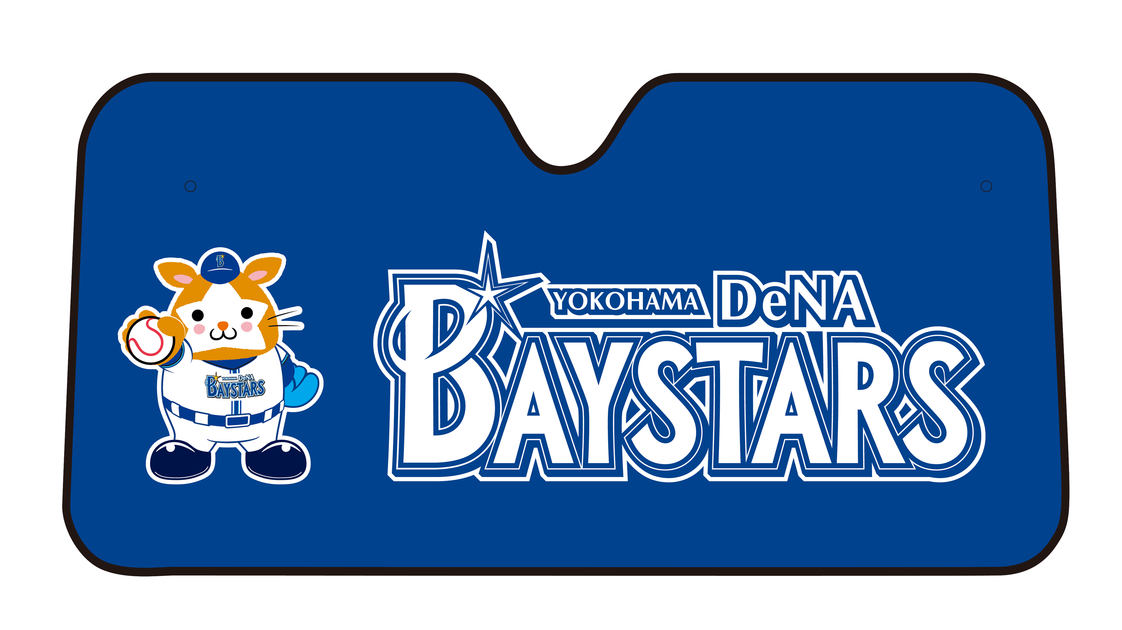 特典：カーサンシェード