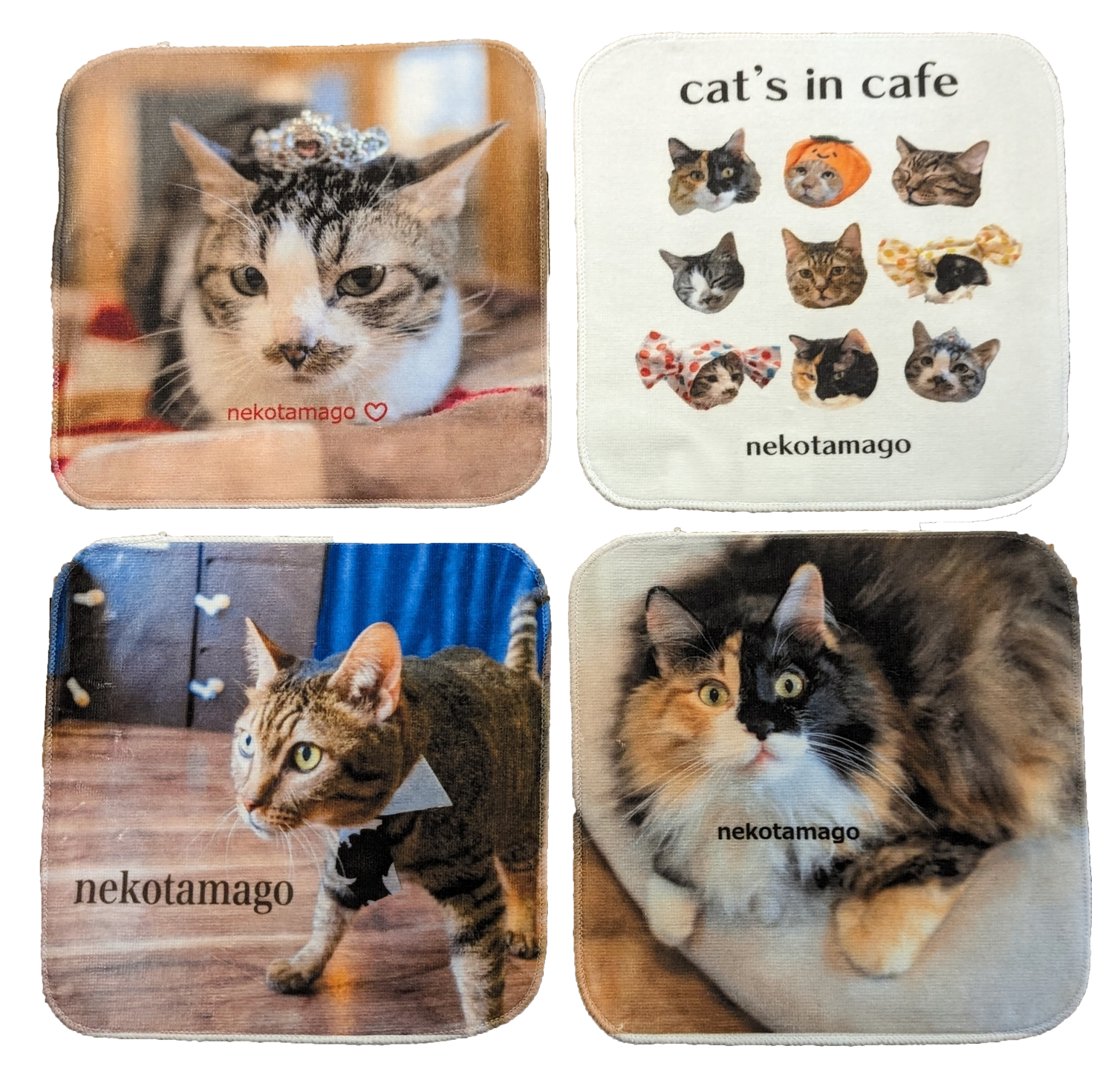 特典：ハンドタオル