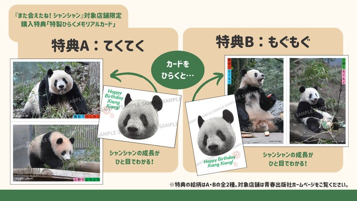 【6/12発売】シャンシャン写真集『また会えたね!』先行販売開始!全国発売はお誕生日に 【6/12発売】シャンシャン写真集『また会えたね!』先行販売開始!全国発売はお誕生日に