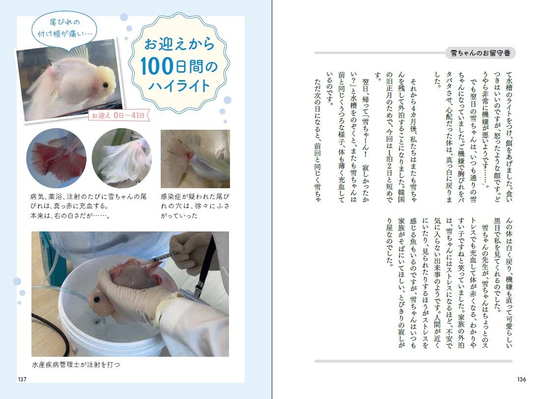 治療を受ける雪ちゃん