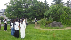 樹木医からの解説