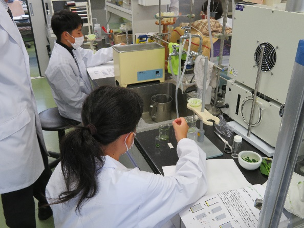 野菜から色素を取り出し、色素成分を調べる実験1