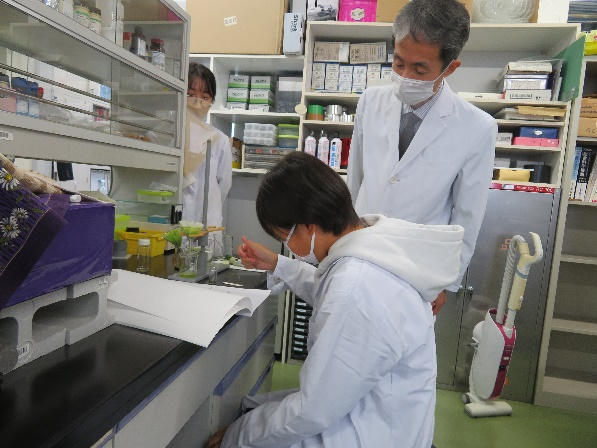 野菜から色素を取り出し、色素成分を調べる実験2