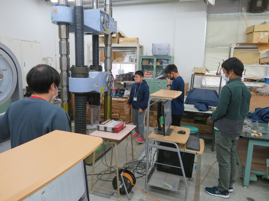 圧縮実験の様子