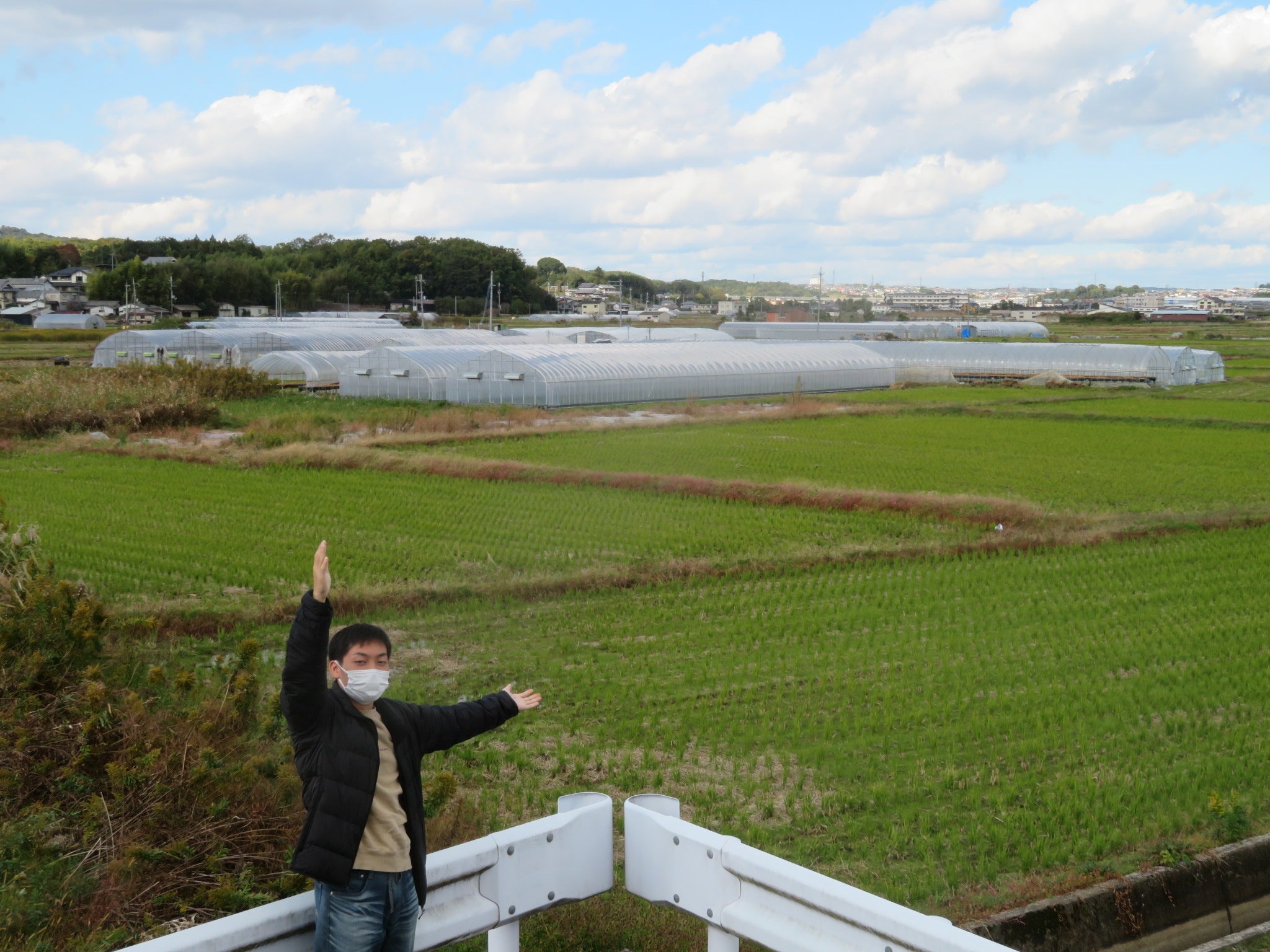 パイプハウスの調査