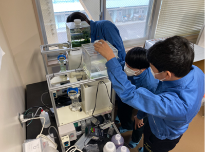 機器を利用して卒業研究に取り組む学生