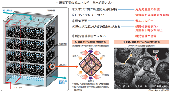 スポンジ状担体を充填したDHSろ床の特徴