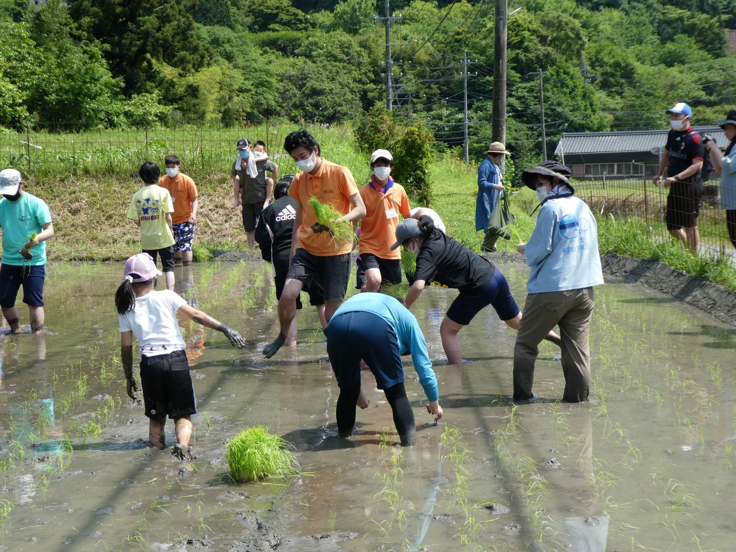 小学生・高専生・地域の方々全員での田植え