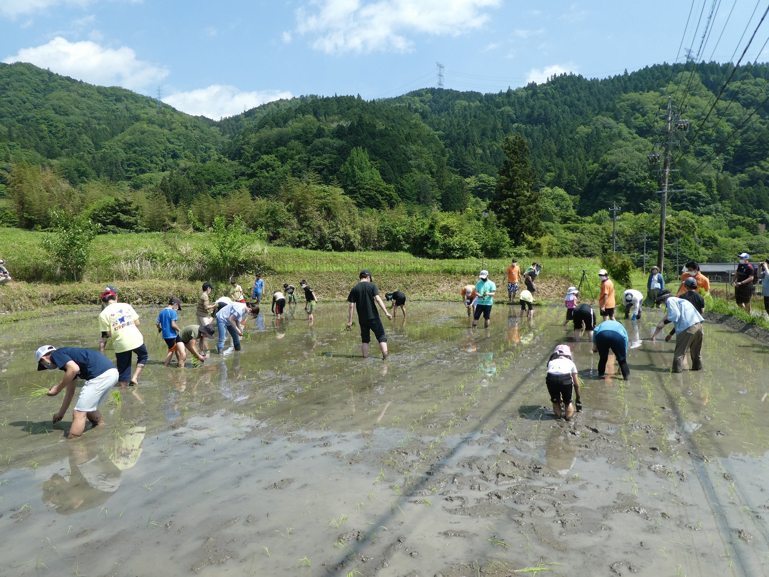 田植え日和の一日でした
