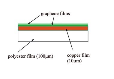 実験に使用した検体の構造