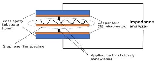 グラフェン膜に形成に被覆された試料（バイオフィルム）