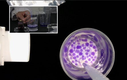 【講座A】実験の様子