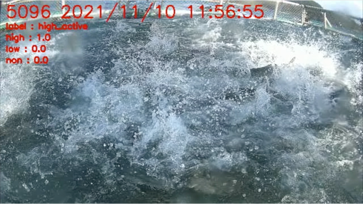 AI解析の対象画像例「空腹のブリが餌に食いつく動きで荒れた海面」