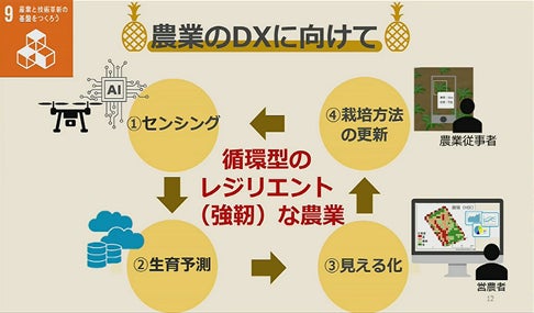 チーム「パイナッポー」農業のDX化に向けて