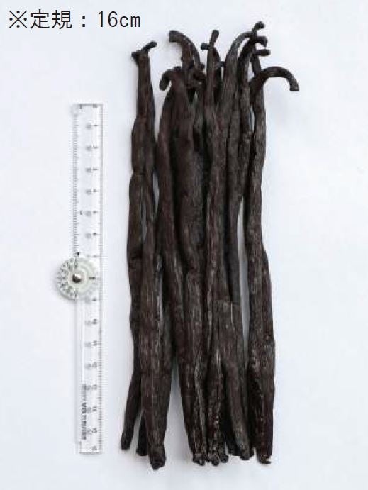 最高級グレードのマダガスカル産バニラビーンズ