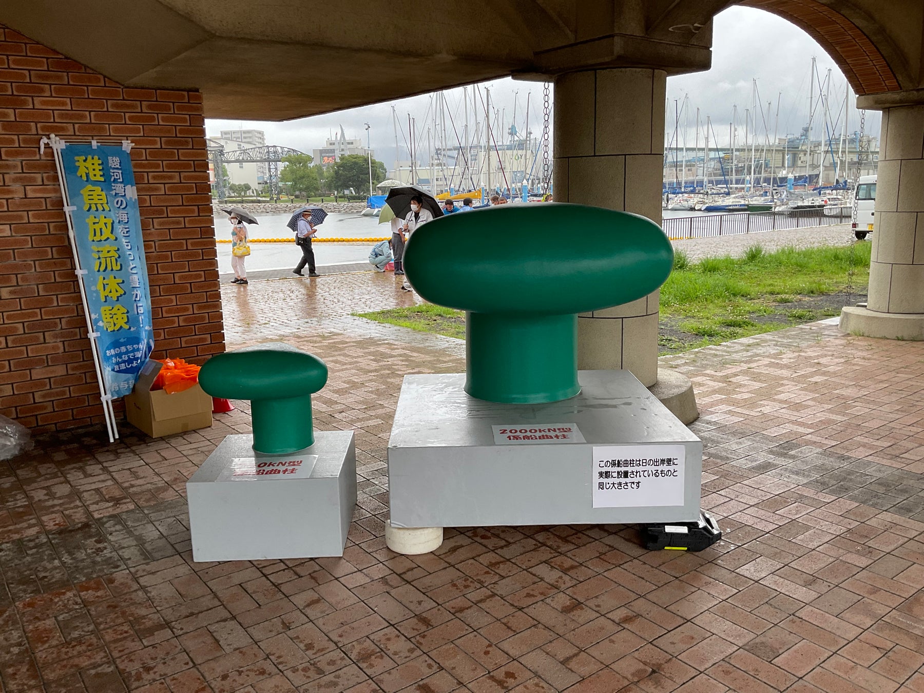 清水港のマリンパークにて稚魚の放流を実施 鈴与グループのプレスリリース 清水港のマリンパークにて稚魚の放流を実施 鈴与グループのプレスリリース