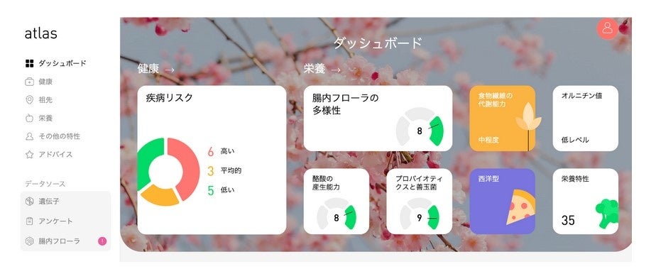遺伝子および腸内フローラ検査レポート画面