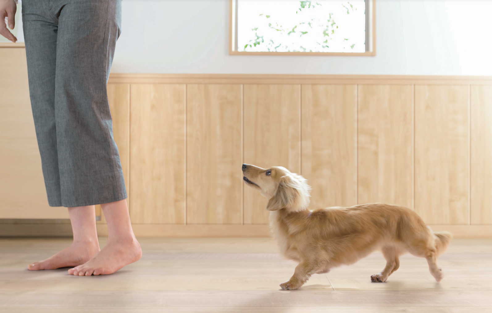 大建工業　ワンラブフロアⅣ