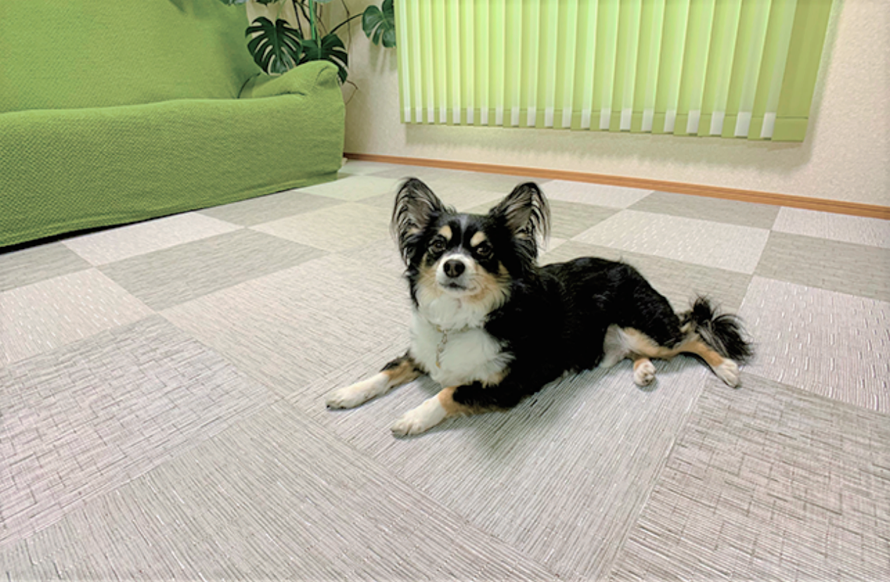 光洋産業　リフェイスタイル