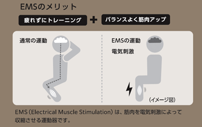 【未使用保管品】おうちトレーニング　FOOT BRAIN ACTIVATION おうちトレーニング 脳への刺激 FOOT BRAIN ACTIVATION