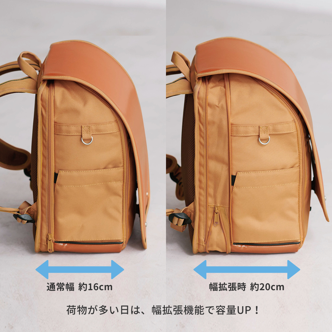 日によって変えられる拡張機能