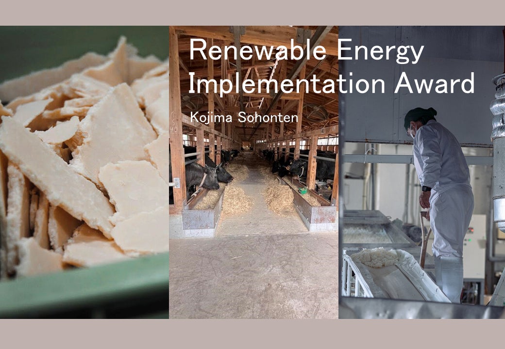  The Renewable Energy Implementation Award