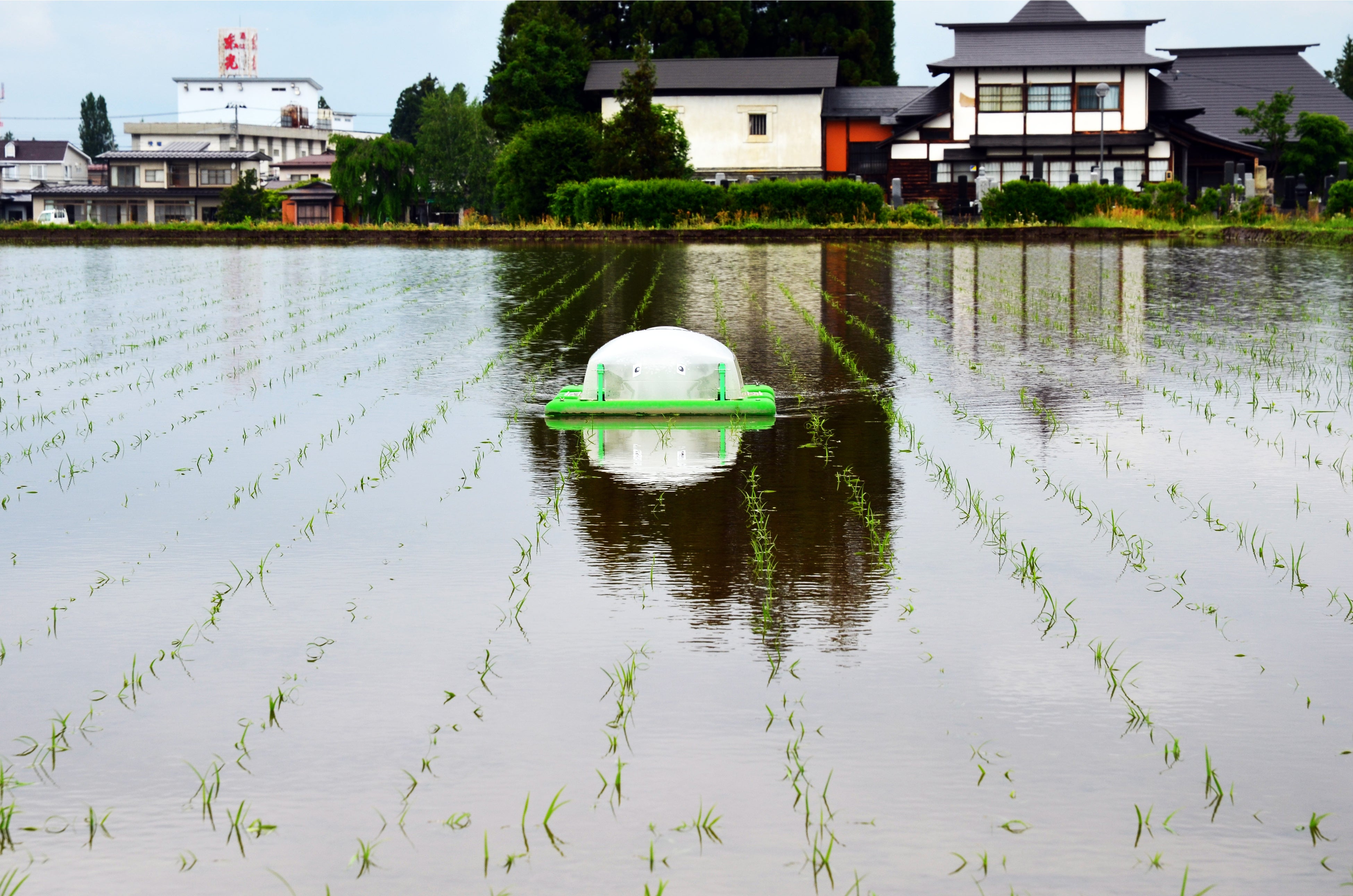 設定ルート通りに自動抑草するアイガモロボ