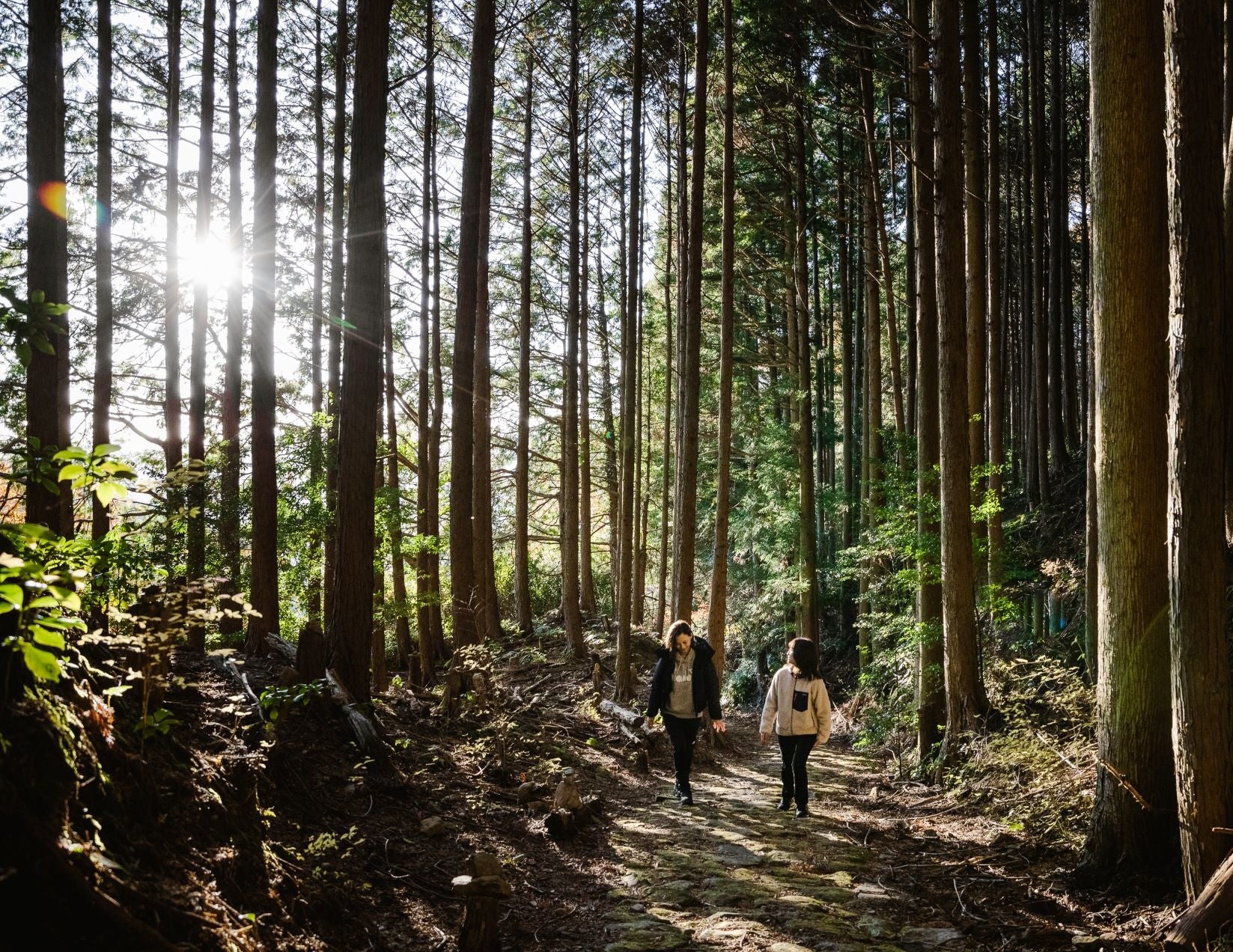 宿の目の前を熊野古道が通っています。少し歩けば山道も散策できます