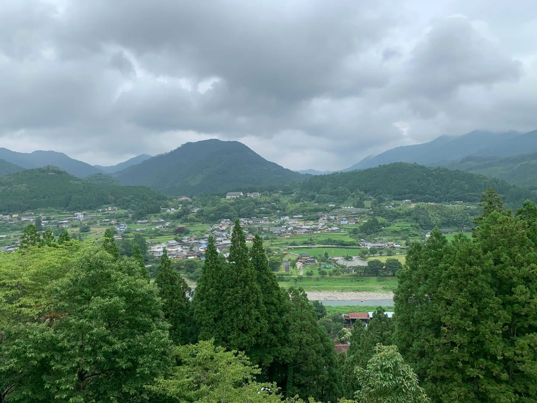 近露の里山