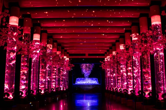 【銀座】満開の桜が金魚と舞う、幻想的な“桜の没入空間”をプロデュース!日比谷花壇、アートアクアリウム美術館 GINZAと再びコラボ。 【銀座】満開の桜が金魚と舞う、幻想的な“桜の没入空間”をプロデュース!日比谷花壇、アートアクアリウム美術館 GINZAと再びコラボ。