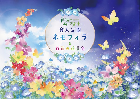 「花と光のムーブメント 舎人公園~ネモフィラと百花の花景色~」2026年4月10日(金)~4月26日(日)開催 「花と光のムーブメント 舎人公園~ネモフィラと百花の花景色~」2026年4月10日(金)~4月26日(日)開催