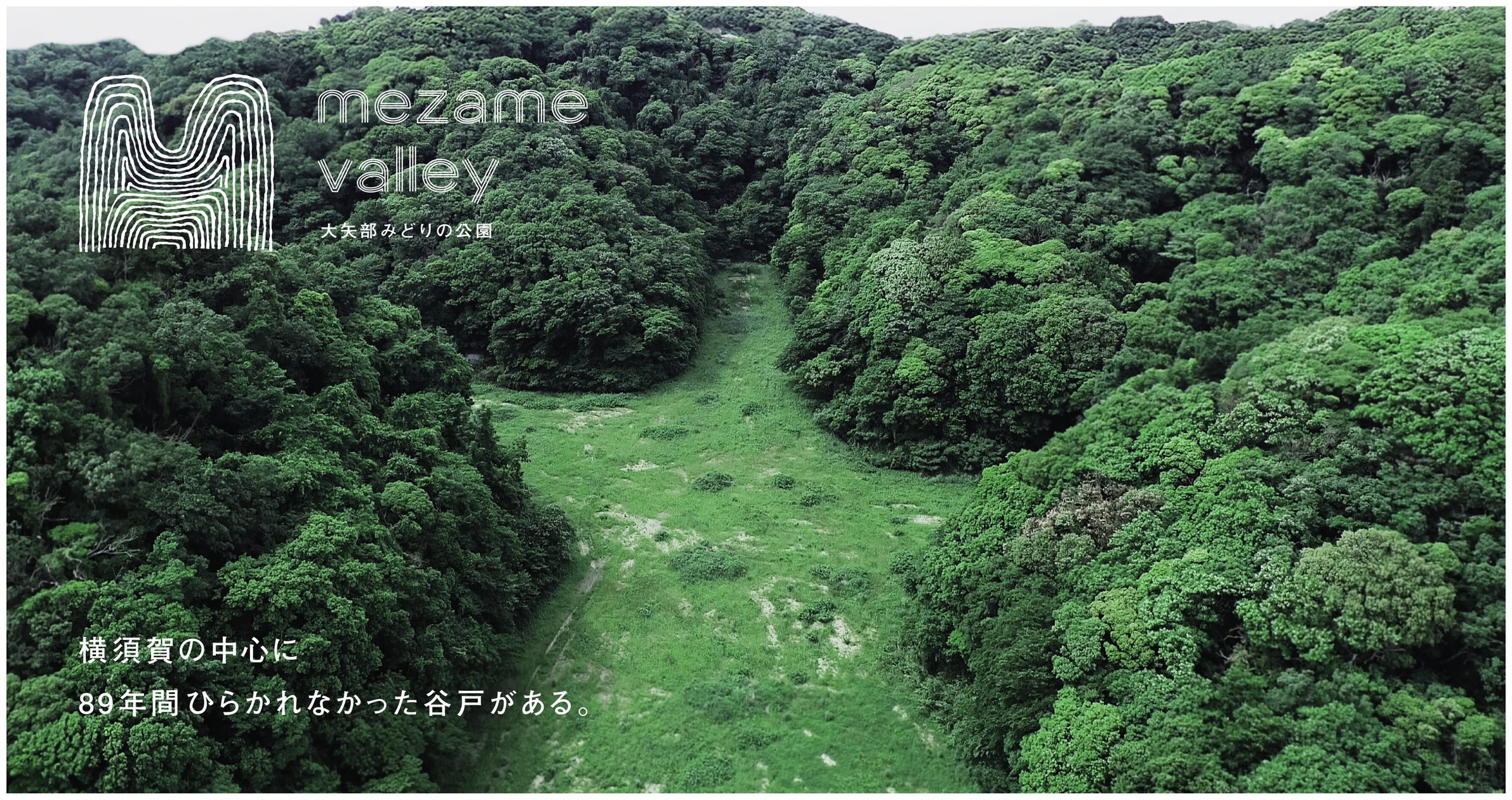dot button companyが企画・体験設計を担う「大矢部みどりの公園 MEZAME VALLEY」、公式ブランドサイトを公開
