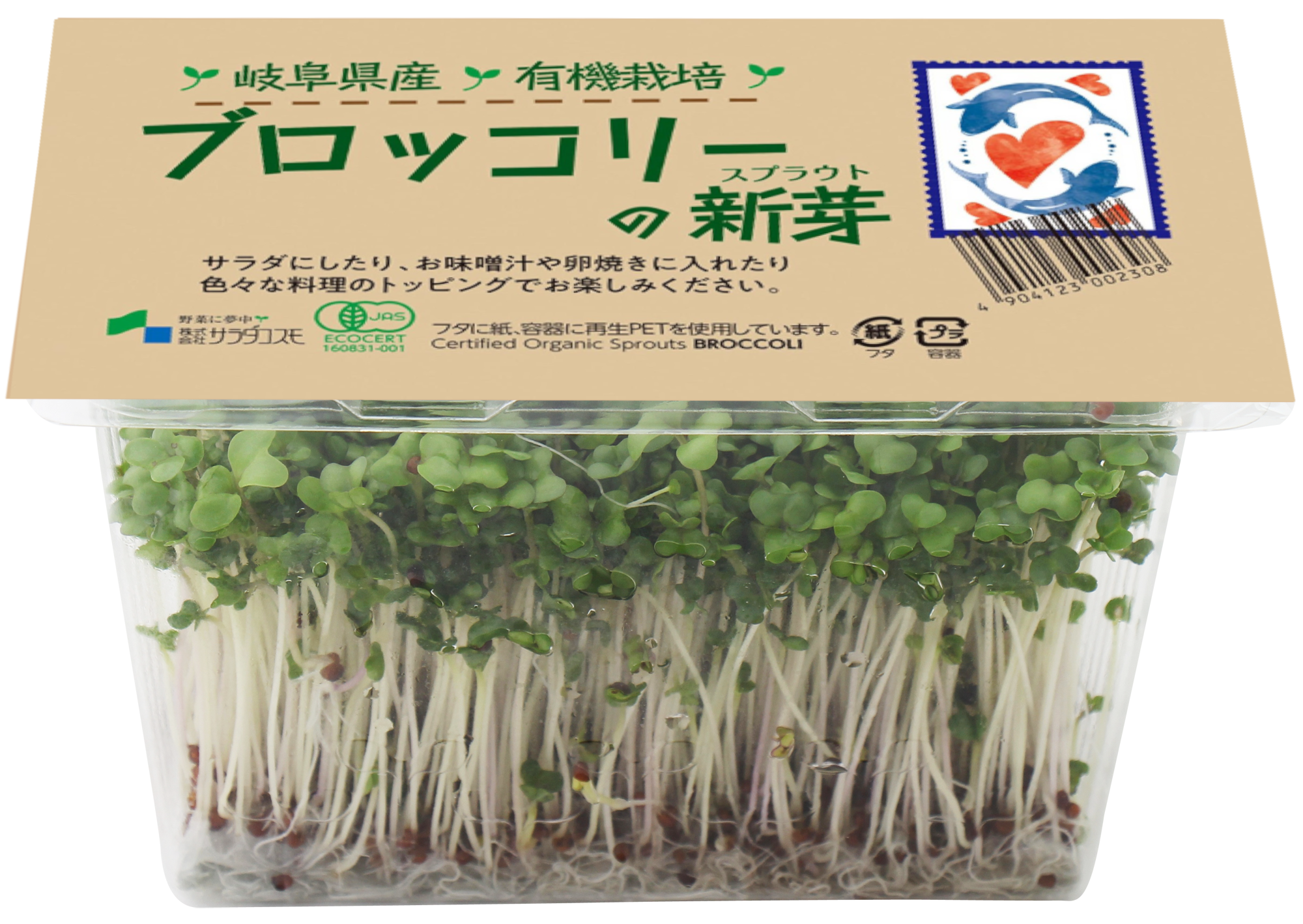 有機ブロッコリーの新芽