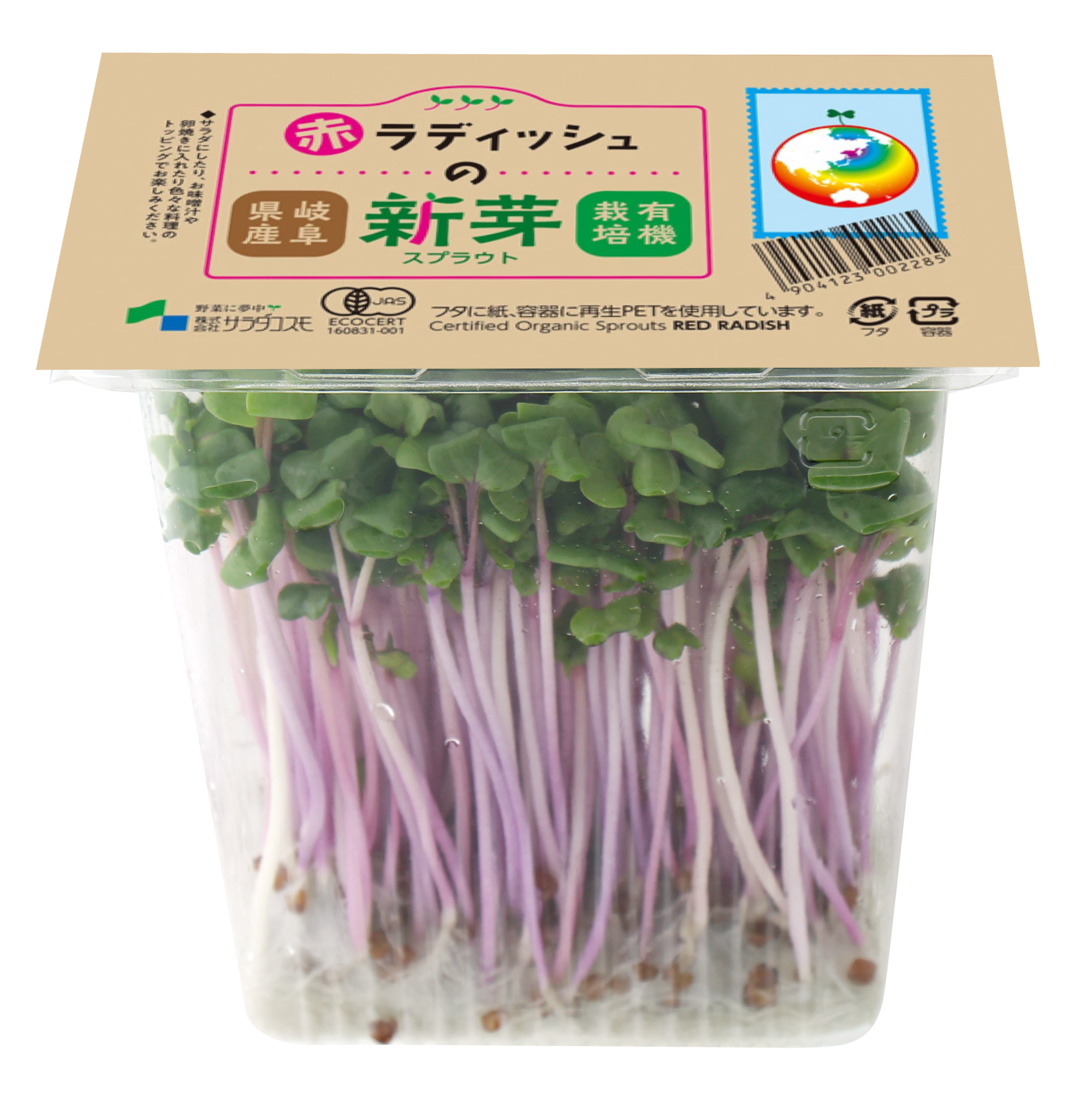 有機赤ラディッシュの新芽