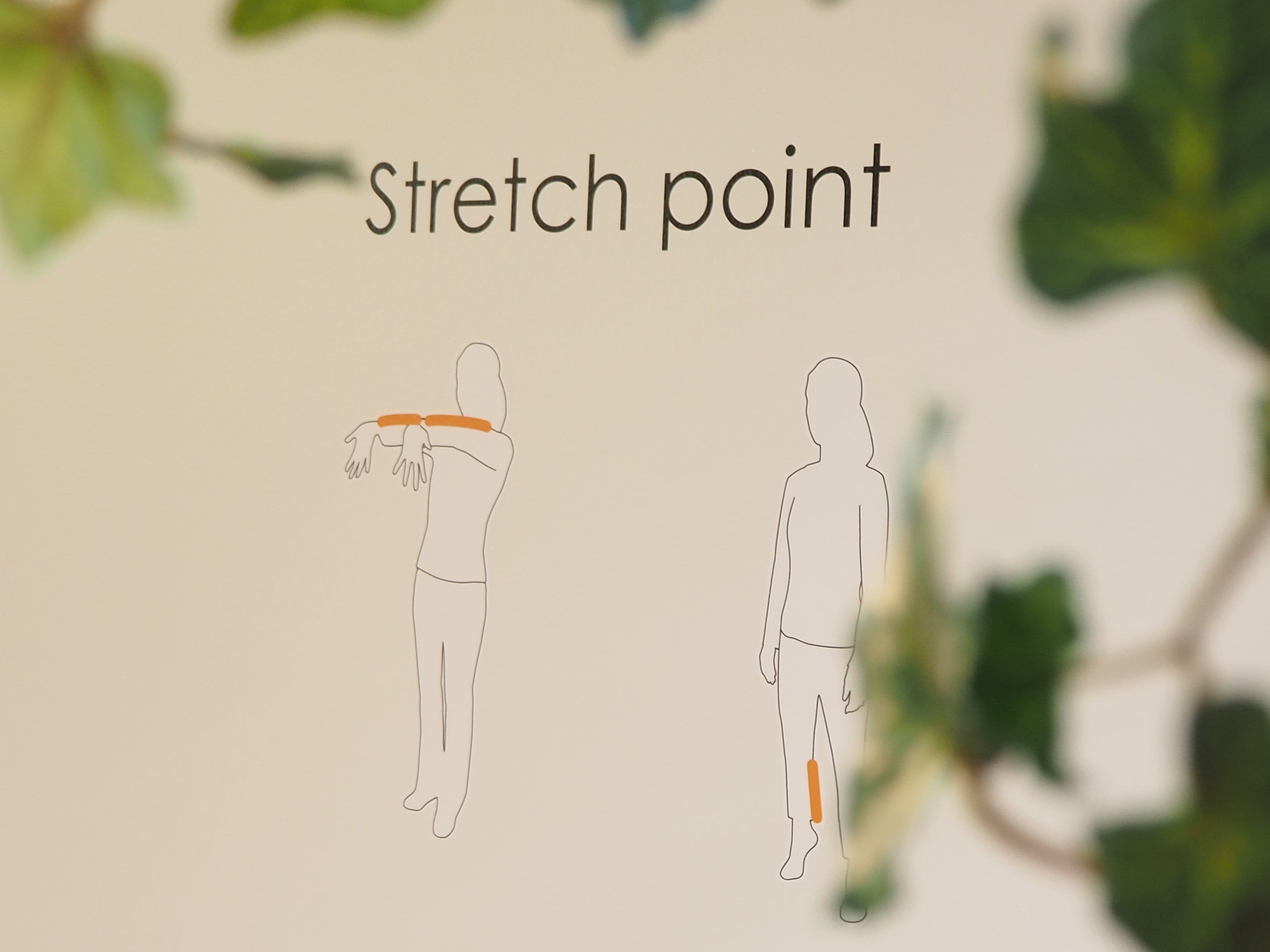 ストレッチポイント