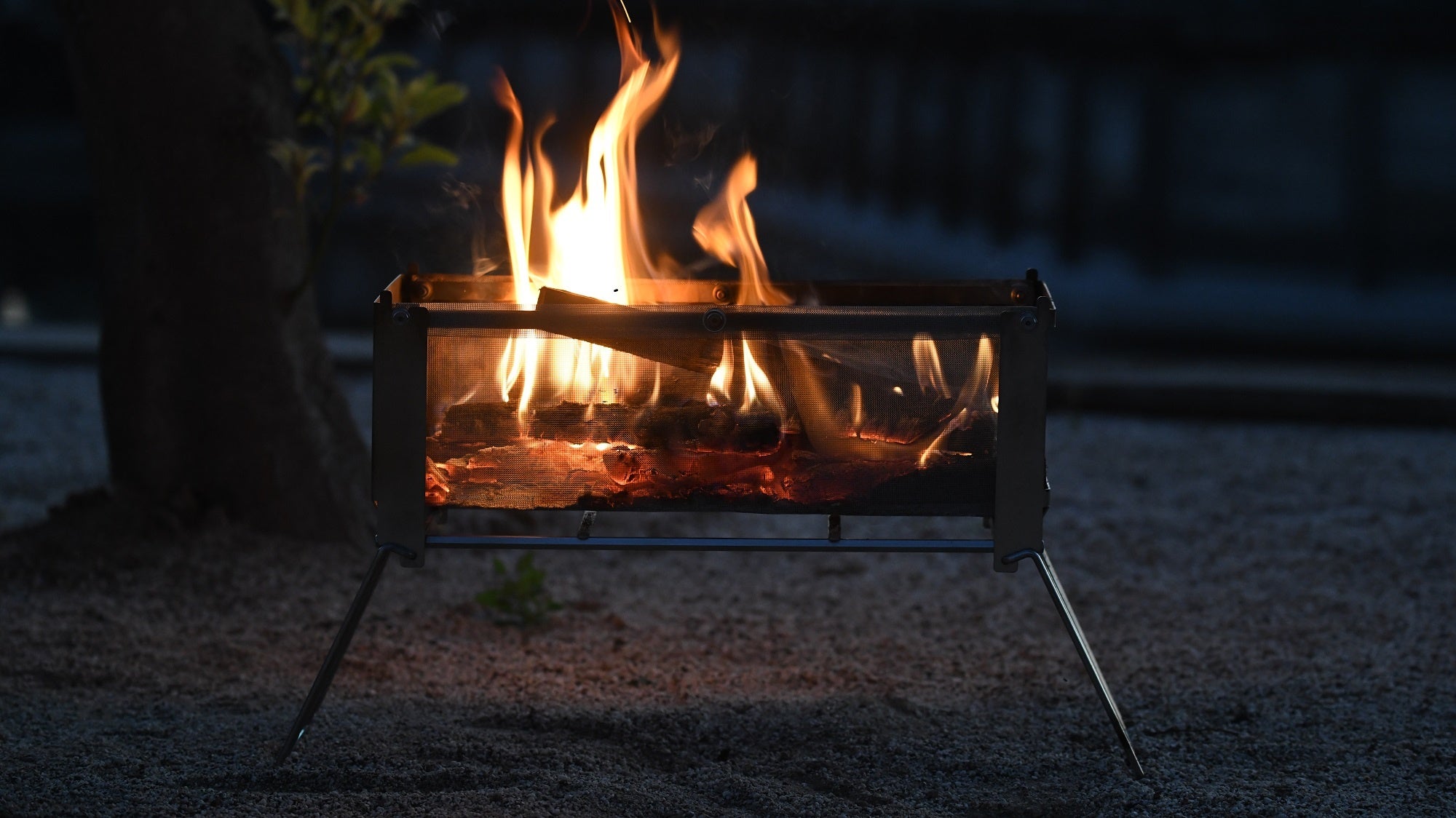 特別展⽰”trends24+”に選ばれた「ヨコナガメッシュタキビダイ」