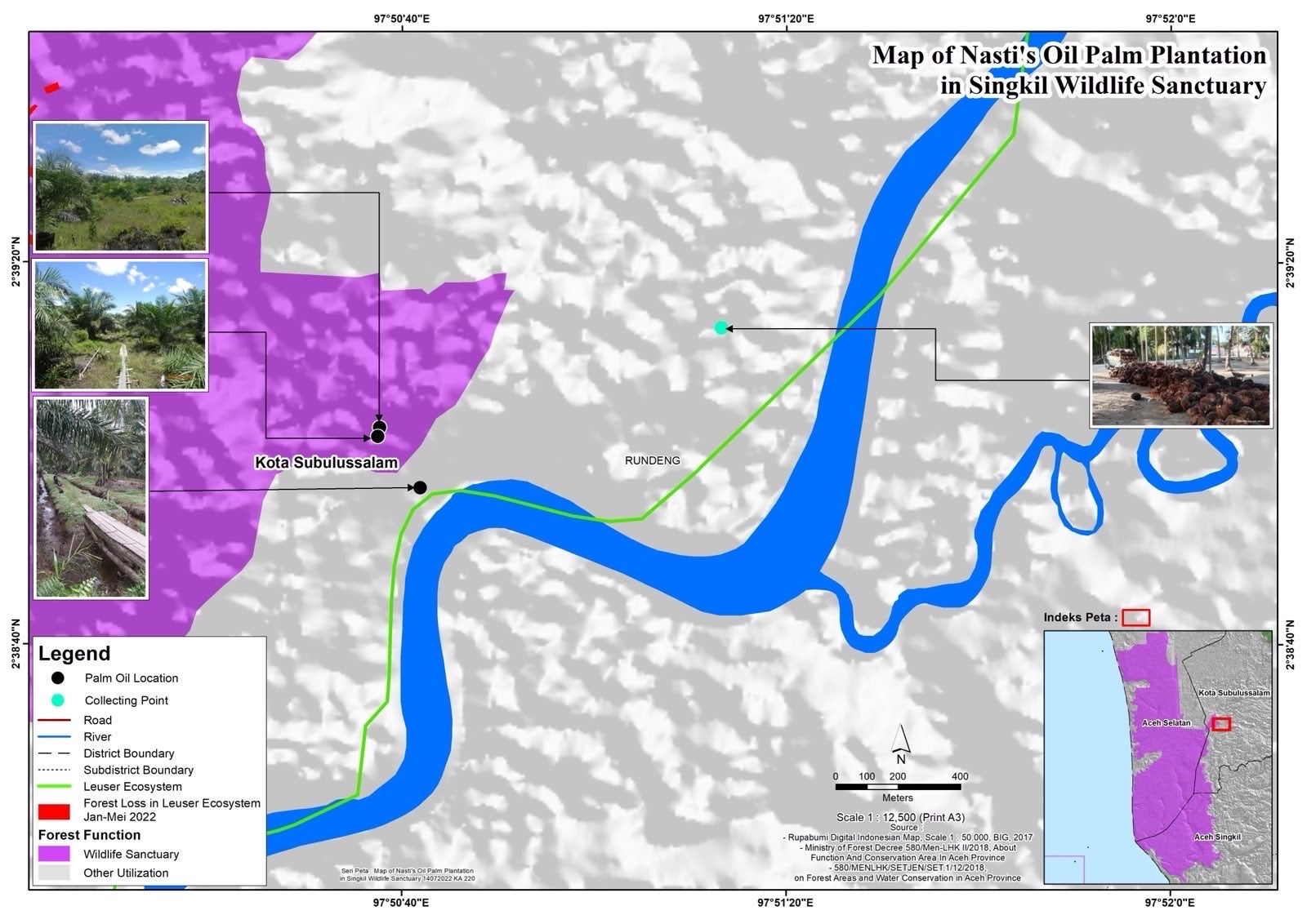 図：Ibu Nasti氏の農園地図。違法に森林が伐採されて排水された農園（●）が保護区内（紫網掛け）に位置していることがわかる。収穫されたアブラヤシ果房は集積場所（水色●）に運ばれ、その後、搾油工場へ供給される。