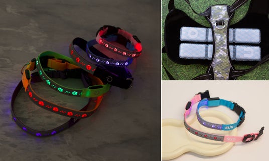 夜間の安全と、夏場の涼しさを同時に叶える!SUOから愛犬を守る「光るハーネス・首輪・リード」が新登場 夜間の安全と、夏場の涼しさを同時に叶える!SUOから愛犬を守る「光るハーネス・首輪・リード」が新登場