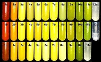 （出典：株式会社アルガルバイオ）