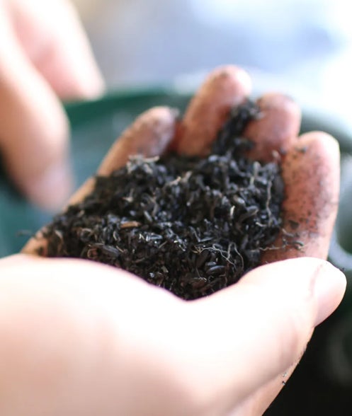 宙炭(そらたん)(写真:TOWING提供)