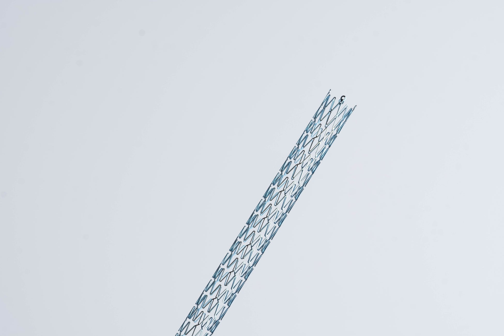 開発中の膝下動脈用ステント(写真:Global Vascular社 提供)