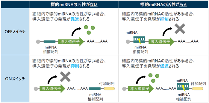 解説図：aceRNA Technologies社 HPより