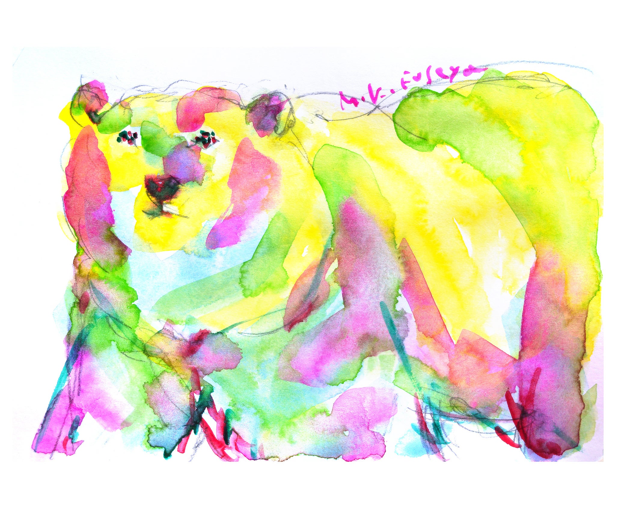 伏屋先生の講座「【夏休み企画】気候変動ってどんな状況？ 絶滅危惧種の動物を描こう！」イメージ