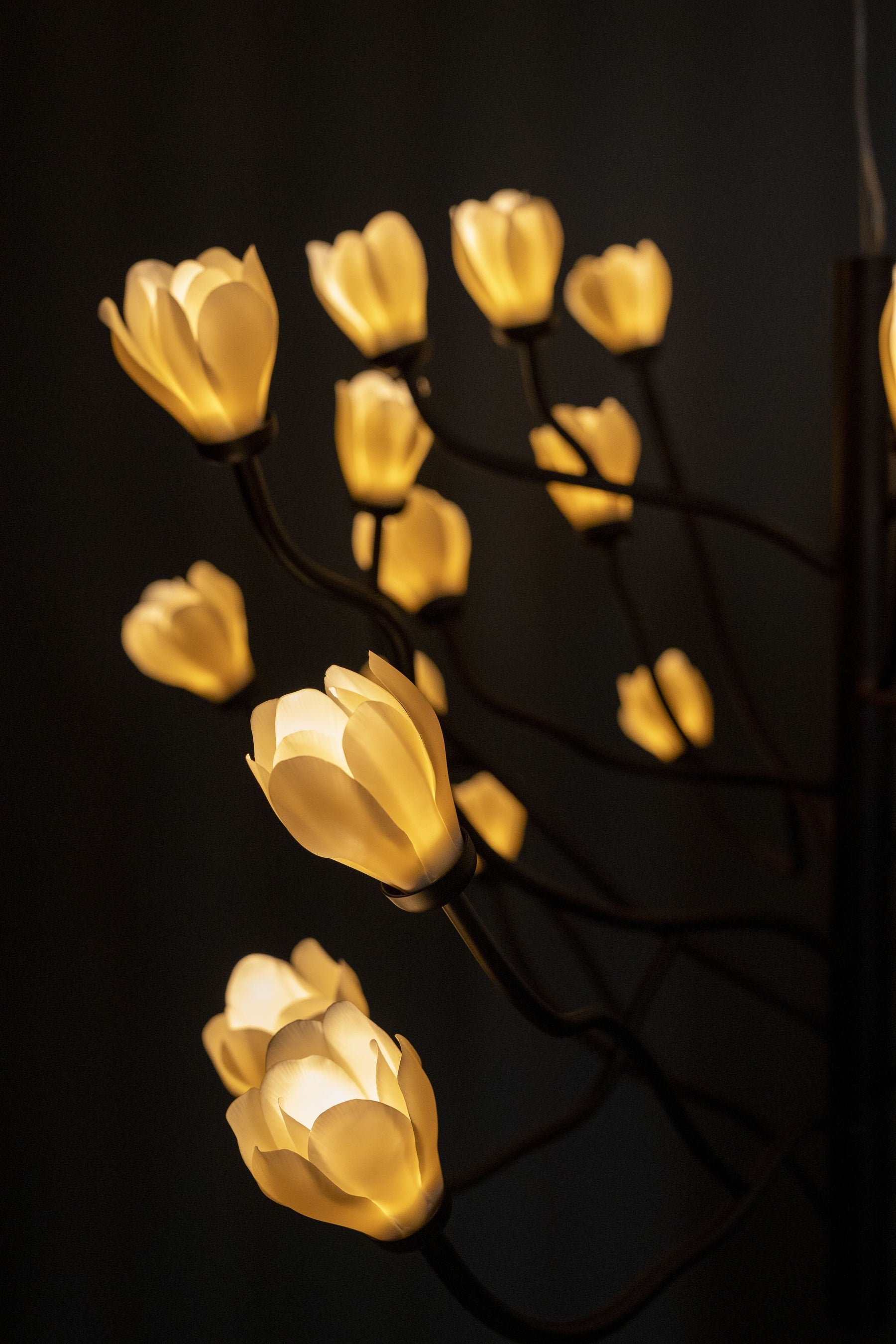 受賞作品『Mokuren』