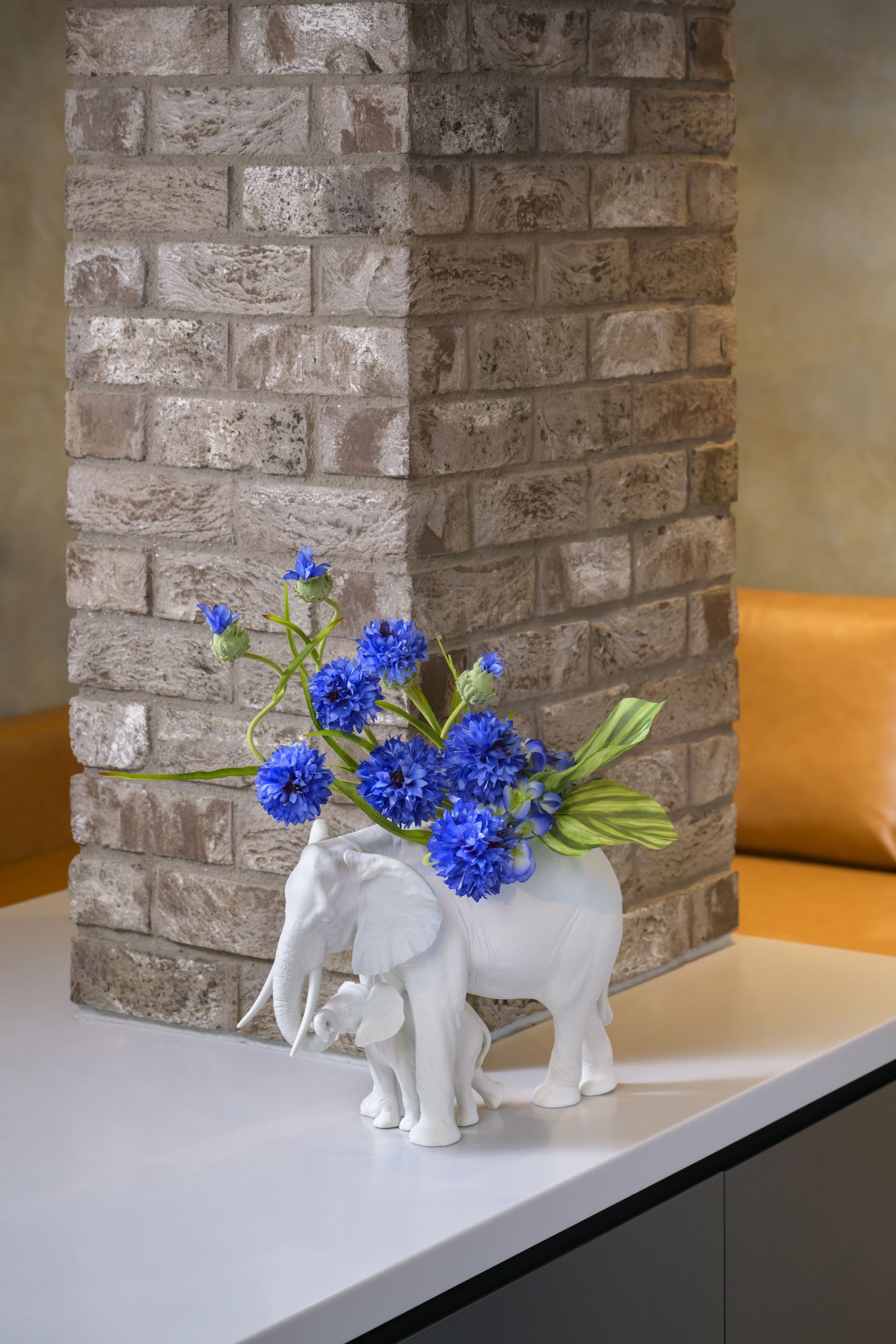 CORN &nbsp;FLOWER × ELEPHANT GARDEN