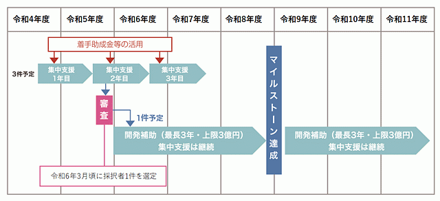 開発支援に関するスケジュール