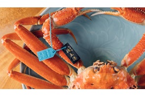 【加賀温泉郷】11月6日解禁!加賀 橋立漁港で待望の「加能ガニ」水揚げスタート!